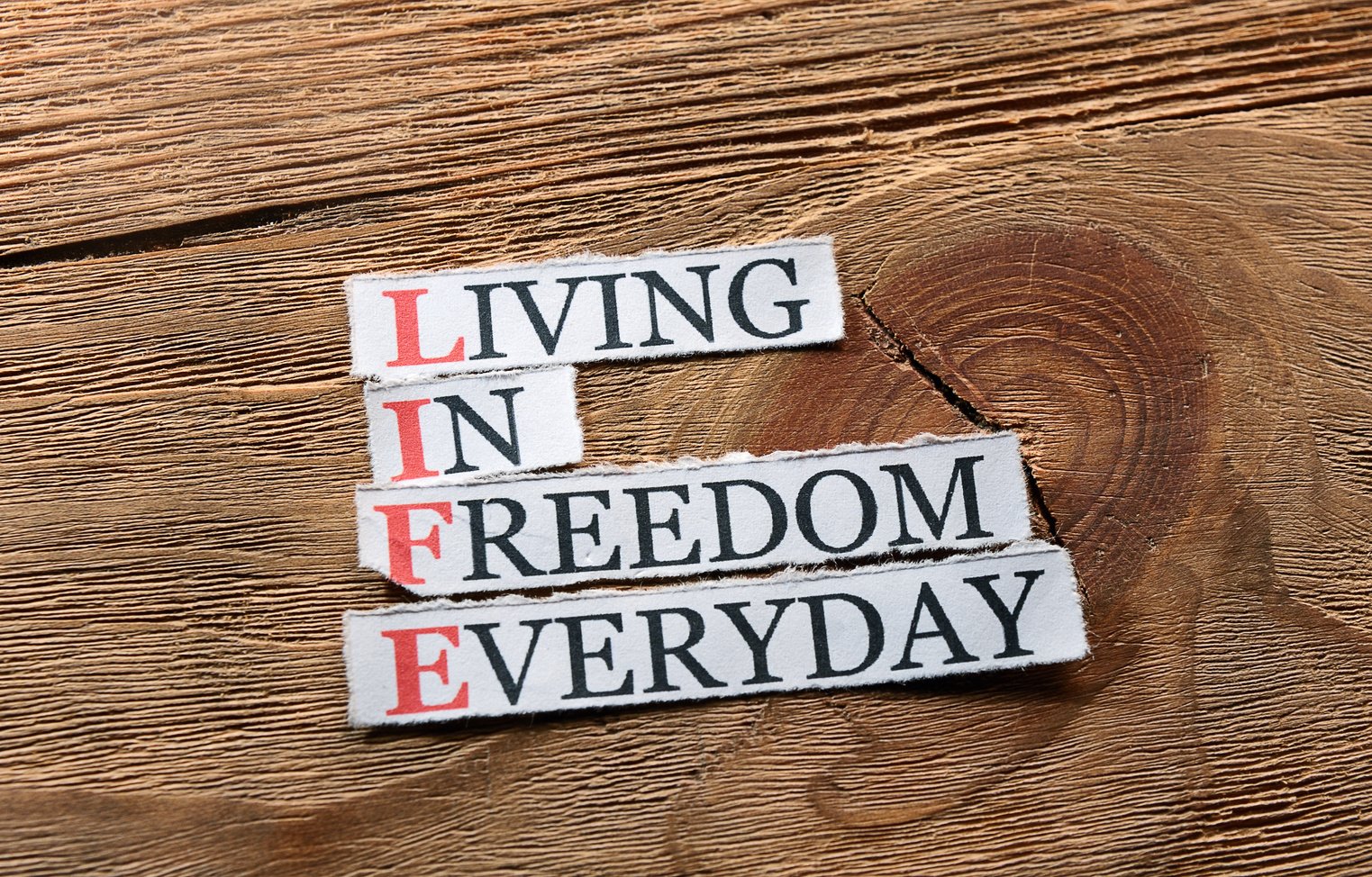 Life Freedom  Inspiration